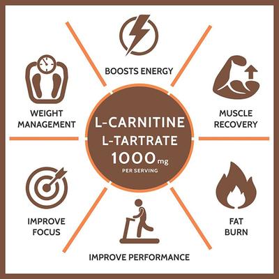 acetyl l-carnitine 1000mg benefits Acetyl-L-Carnitine: Benefits, Forms, Dosing, and Side Effects – Dr Brad  Stanfield main image 1