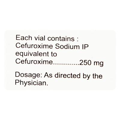 Zocef 250mg Injection 1'S - Bacterial Infections-Cep