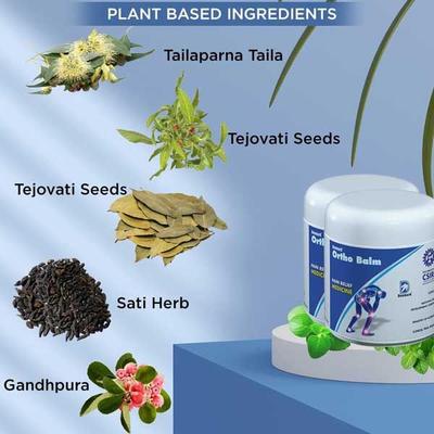 Deemark Ortho Balm (Pack of 10 x 50 gm) - Pain Relief (Ayush)