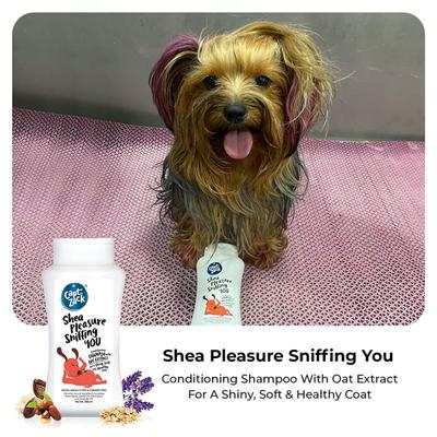 Capt. Zack Shea Pleasure Sniffing You Shampoo With Oat Extract 200 ml - Pet Healthcare
