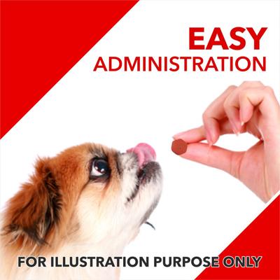 Drools Absolute Calcium Tablet- Dog Supplement 110's - Petfood