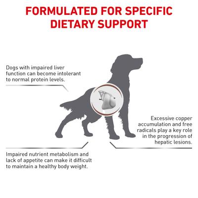 Royal Canin Veterinary Hepatic Dry Dog Food 6 kg - Petfood