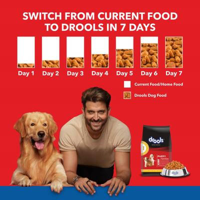 Drools Chicken and Egg Puppy Dog Food 3kg (with Free 1.2kg) 4200 gm - Petfood