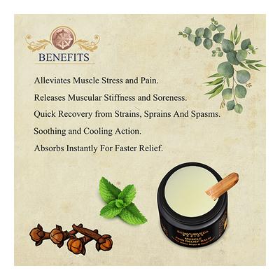 Bioayurveda Basics Muscle Pain Relief Balm 60 gm - Balm/Ointments