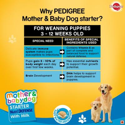 Pedigree Mother & Babydog Starter Nutri Defence with Milk 3000 gm - Petfood