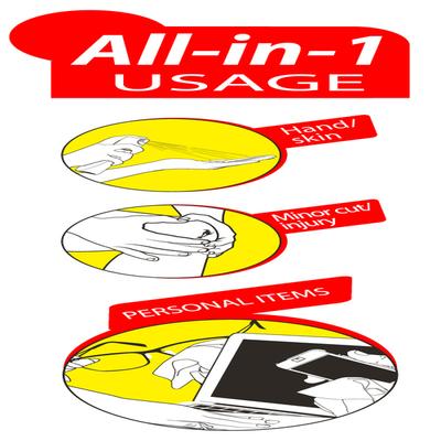 EverClean Liquid All in 1 Sanitizer - Citrus Fresh 1 litre - Hand Sanitizer