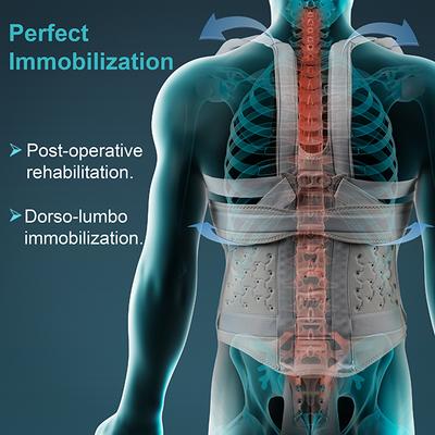 Tynor Taylor's Brace Urbane Short (UN) (A 34) - Supports And Braces