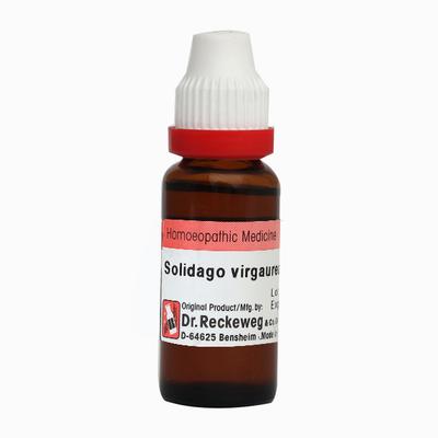 Dr. Reckeweg Solidago Virgaurea 200 Liquid 11 ml - Dilutions