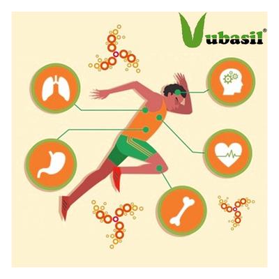 Vubasil Ashwagandha 800 mg Capsule (Pack of 6 x 60's) - Ashwagandha