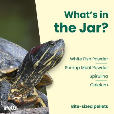 Pettr Turtle Food Treat Pellets - Fish Flavoured 370 gm - Petfood