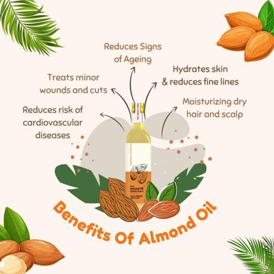 Essentia Extracts Pure Cold Pressed Oil Combo (Walnut 100 ml + Sweet Almond 100 ml) 1's - Massage Oils