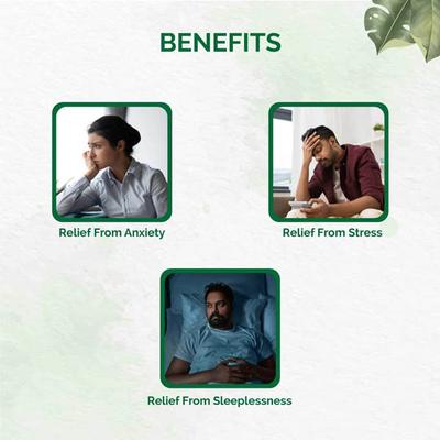Dr. Vaidya's Unmadvati Pills (Pack of 3 x 24's) - Speciality Medicines