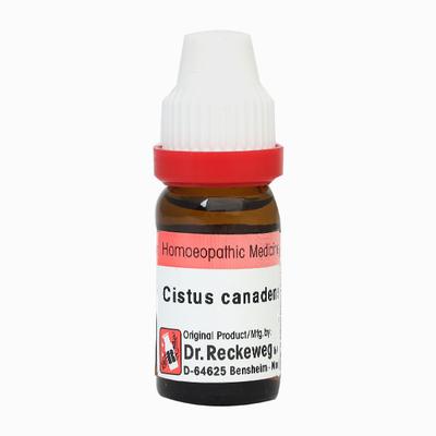 Dr. Reckeweg Cistus Canadensis 10M Liquid 11 ml - Dilutions