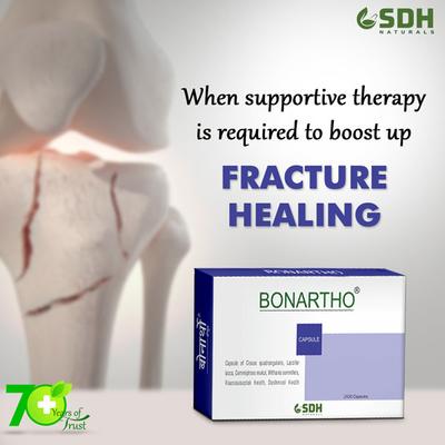 Shree Dhanwantri Herbals Bonartho Capsule (Pack of 2 x 30's) - Speciality Medicines