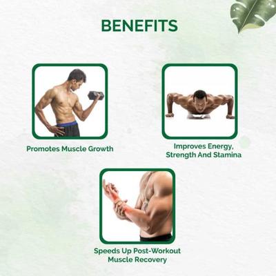 Dr. Vaidya's Herbobuild Capsule (Pack of 2 x 30's) - Speciality Medicines