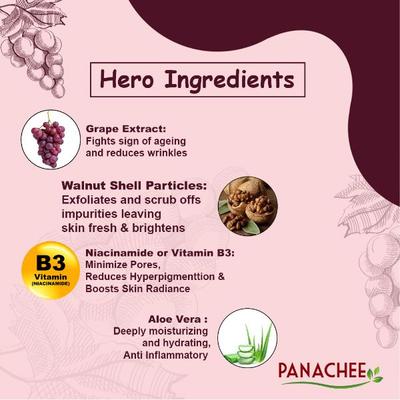 Panachee Vine Face Scrub - Grapevine Extract 100 gm - Face Scrubs