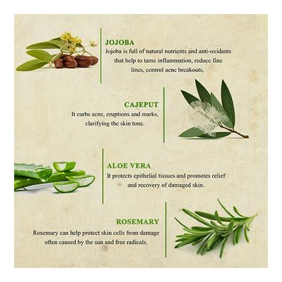 Bioayurveda Anti-Acne Moisturiser Face Creme 60 gm - Face Creams