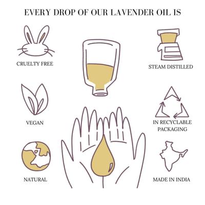 Essentia Extracts Pure Essential Oil - Lavender 15 ml - Essential Oils