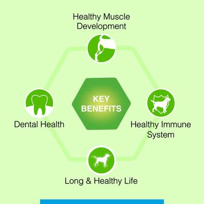 Canine Creek Adult Dog Food, Ultra Premium 4000gm - Petfood