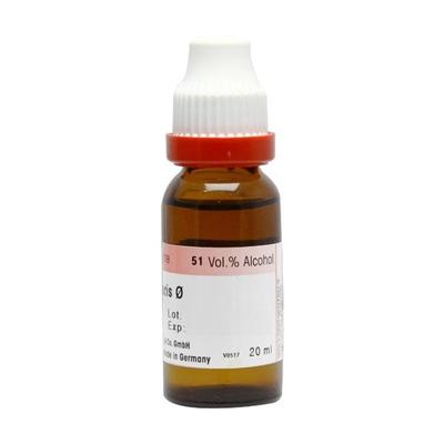 Dr. Reckeweg Berberis Vulgaris 1X Q Liquid 20 ml - Mother Tincture