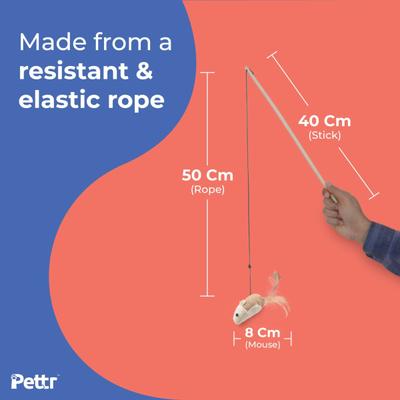 Pettr Cat Fishing Wand Toy 1's - Pet accessories