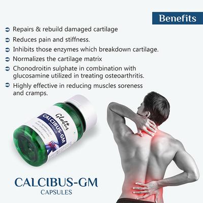 Globus Naturals Calcibus 1's - Speciality Medicines