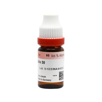 Adel Paeonia Off. 30 Liquid 10 ml - Dilutions