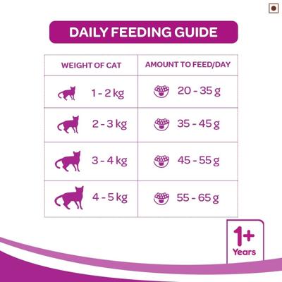 Whiskas Adult Mackerel Flavor 480 gm - Petfood