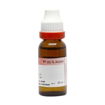 Dr. Reckeweg Cina Ø Liquid 20 ml - Mother Tincture