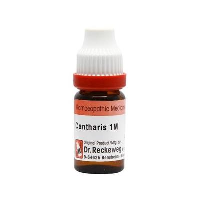 Dr. Reckeweg Cantharis 1M Liquid 11 ml - Dilutions