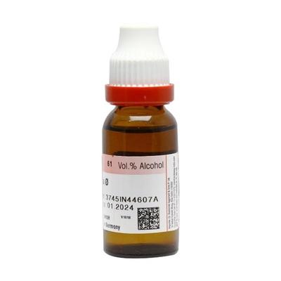 Dr. Reckeweg Hamamelis Virginica Q Liquid 20 ml - Mother Tincture
