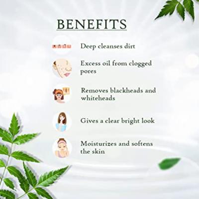 Aravalli Neem Face Scrub 100 gm - Personal Care (Ayush)