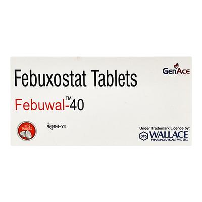 FEBUWAL 40 Tablet 10's - Gout