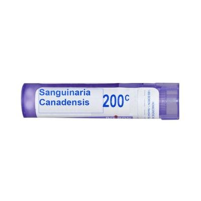 Boiron Sanguinaria Canadensis 200C Multi Dose PELLETS 4 GM - Triturations (Homeo Tablets)
