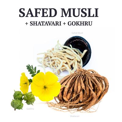 AADAR Power Build for Muscle Growth 500 mg Capsule (Pack of 3 x 30's) - General Health