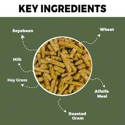 Petvit Rabbit Food 1000 gm - Petfood