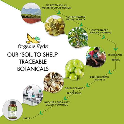 Organic Veda Amla Vitamin C 2000 mg Veg Capsule 120's - Pure Herbs