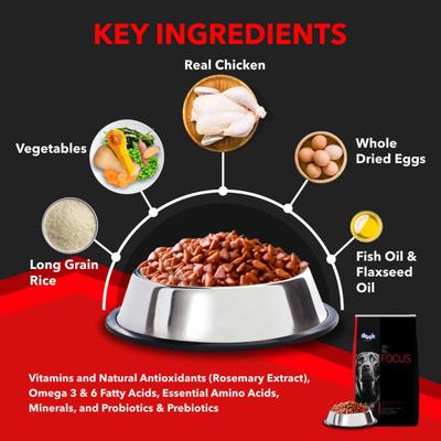 Drools Focus Adult Super Premium Dog Food 1200 gm - Petfood