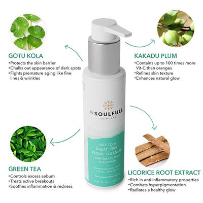 Be Soulfull Must Haves Kit (Daily Ritual Shampoo & Body Wash 200 ml + Off To A Great Start Facial Cleanser 100 ml + Burst of Hydration Moisturizing Cream 50 ml) - Facial Kits