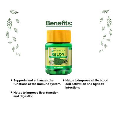 Dr.Vaidya's Giloy Capsule (Pack of 2 x 30's) - Speciality Medicines