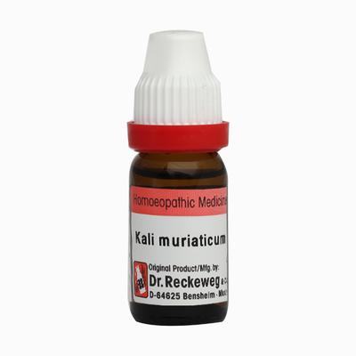 Dr. Reckeweg Kali Muriaticum 6 Liquid 11 ml - Dilutions
