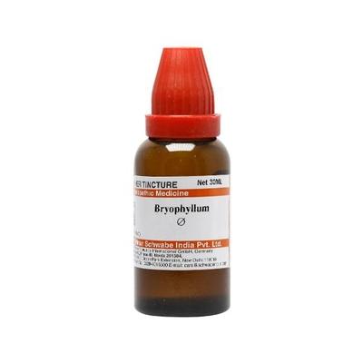Dr.Willmar Schwabe Bryophyllum Ø Liquid 30 ml - Mother Tincture