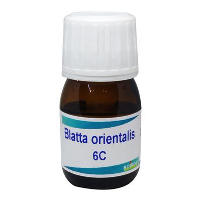 Boiron Blatta Orientalis 6C Liquid 20 ml - Dilutions