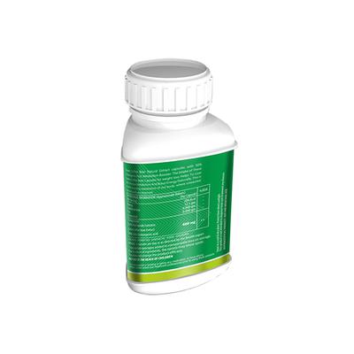 Vogue Wellness Green Coffee Tablet (Pack of 2 x 60's) - Pure Herbs