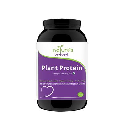 Natures Velvet Plant Protein Powder - Unflavoured 1000 gm - Health Products