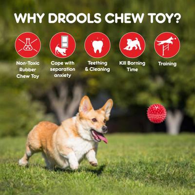 Drools Non-Toxic Rubber Stud Spike Hard Ball Chew Toy, Puppy/Dog Teething Toy - 3 inches 1's - Pet accessories