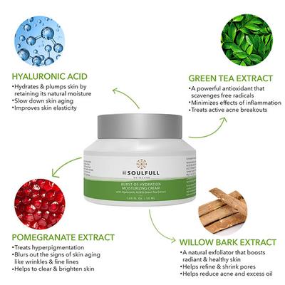 Be Soulfull Daily Regime Kit (Shrink Those Pores Texture Refining Toner 100 ml + Off To A Great Start Facial Cleanser 100 ml + Burst of Hydration Moisturizing Cream 50 m) - Facial Kits