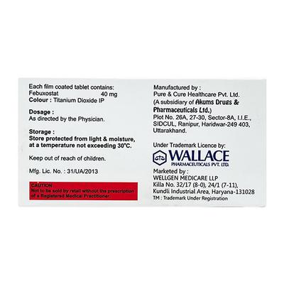 FEBUWAL 40 Tablet 10's - Gout