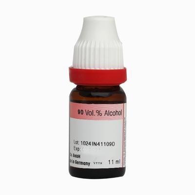Dr. Reckeweg Abrotanum 6 Liquid 11 ml - Dilutions