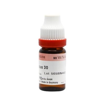 Dr. Reckeweg Rumex Crispus 30 Liquid 11 ml - Dilutions